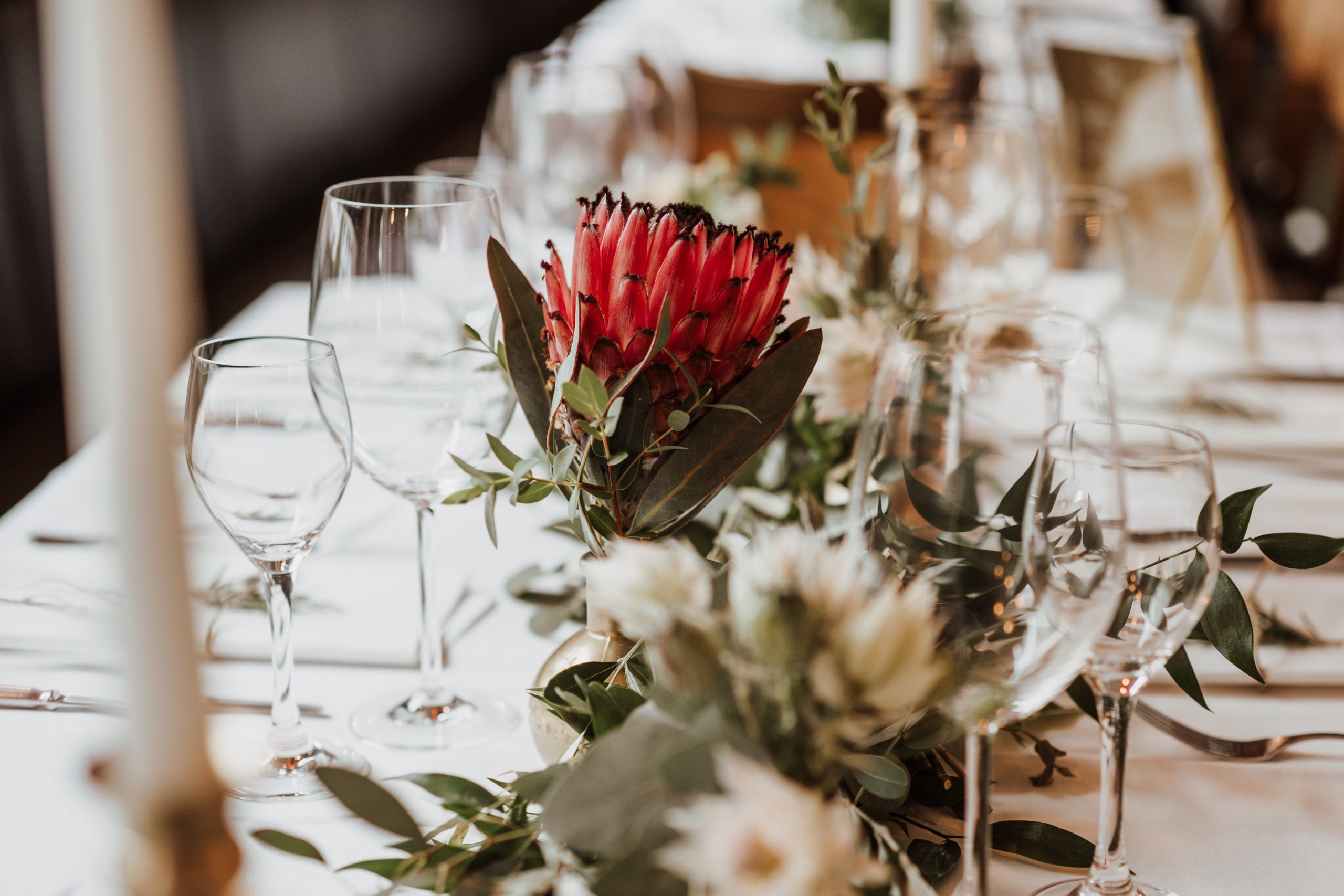 Protea-Blüte als Tischdekoration